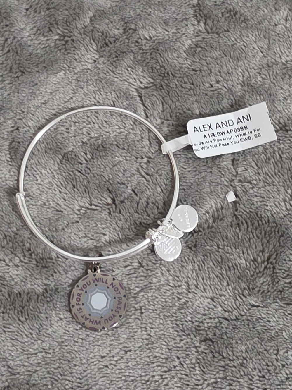Alex and Ani Silver Charm Bangle with Purple Accent